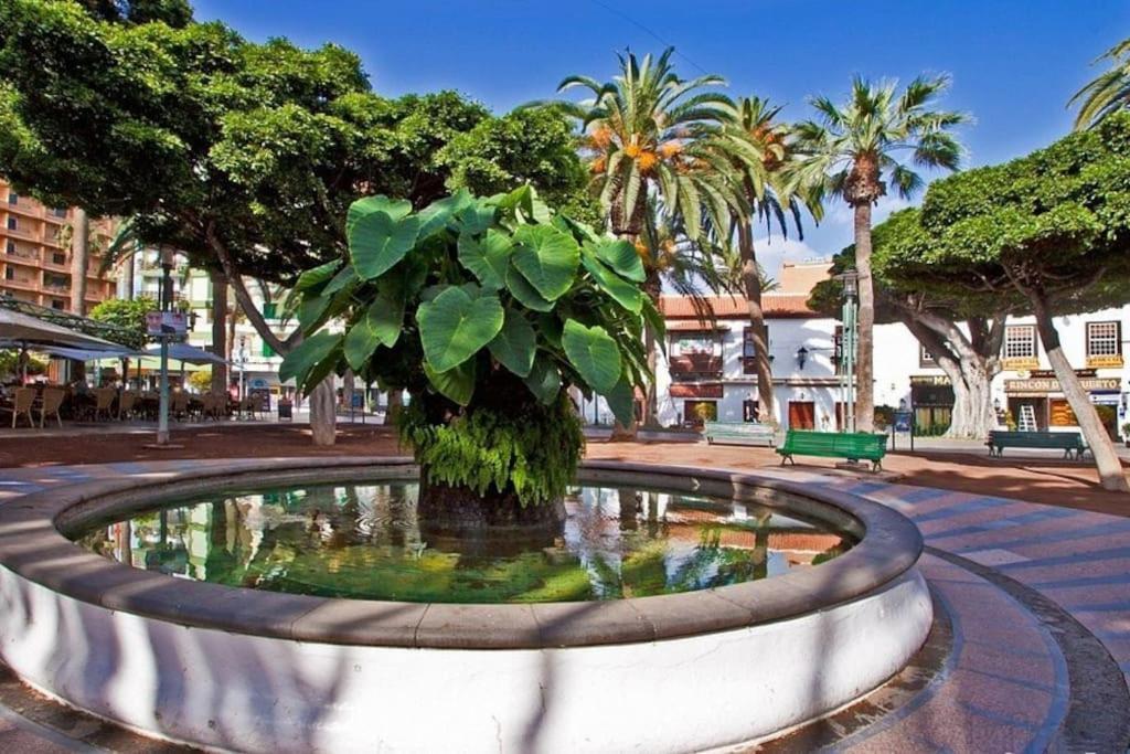 Centrico, Comodo Y Bello Apto En Puerto De La Cruz Extérieur photo